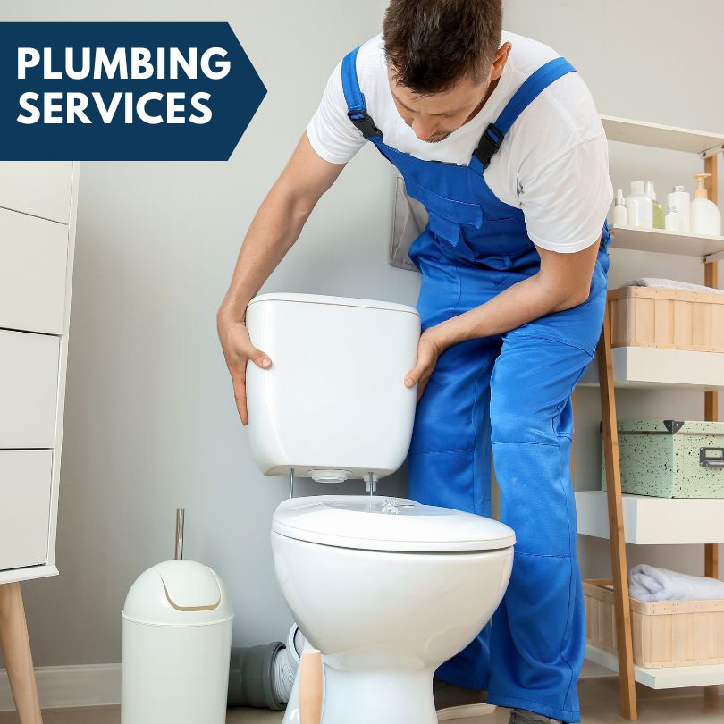 Plumbing Company in Wells, NV